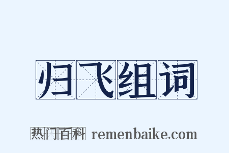 归飞组词是什么意思的图片